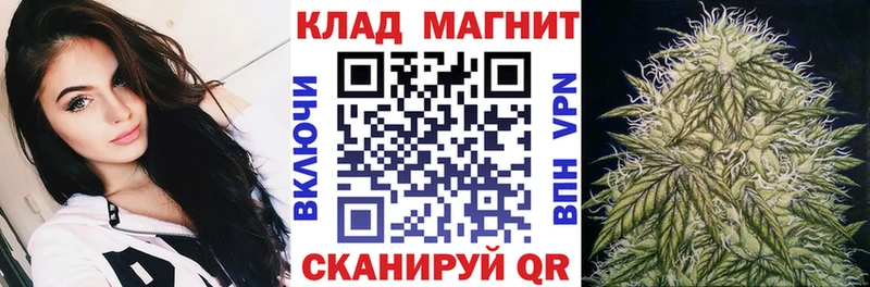 Сколько стоит Камышин Гашиш Alpha PVP Меф Каннабис