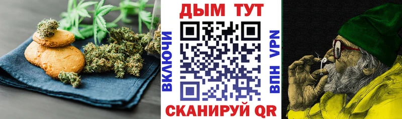 сколько стоит  Камышин  Cannafood конопля 