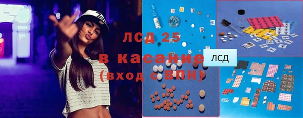 ГАЛЛЮЦИНОГЕННЫЕ ГРИБЫ Сатка