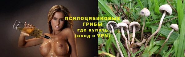 ГАЛЛЮЦИНОГЕННЫЕ ГРИБЫ Сатка