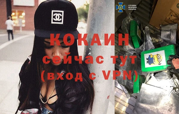 ГАЛЛЮЦИНОГЕННЫЕ ГРИБЫ Сатка