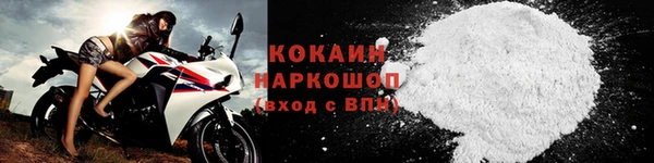 ГАЛЛЮЦИНОГЕННЫЕ ГРИБЫ Сатка