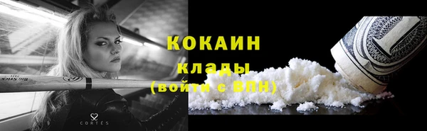 PSILOCYBIN Покров