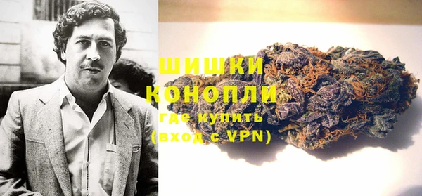 ГАЛЛЮЦИНОГЕННЫЕ ГРИБЫ Сатка