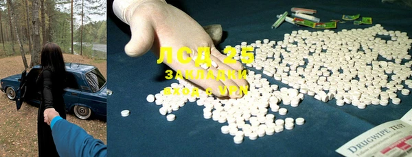 ГАЛЛЮЦИНОГЕННЫЕ ГРИБЫ Сатка