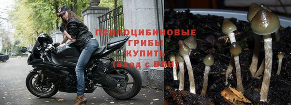 дурь Сафоново