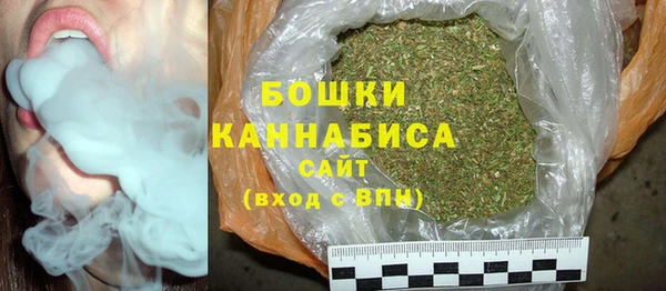 ГАЛЛЮЦИНОГЕННЫЕ ГРИБЫ Сатка
