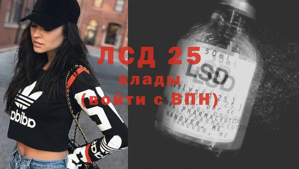 ГАЛЛЮЦИНОГЕННЫЕ ГРИБЫ Сатка