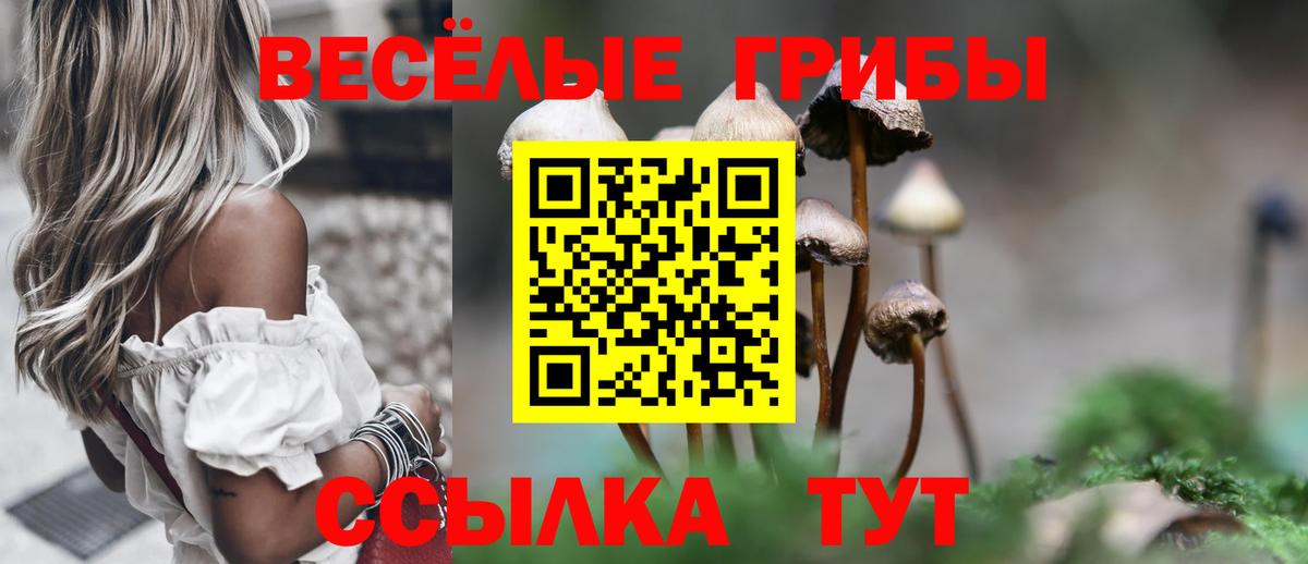 Камышин  Псилоцибиновые грибы MAGIC MUSHROOMS  Вход с VPN 
